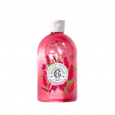 R&G Gingembre Rouge Shower Gel Jumbo 500ml