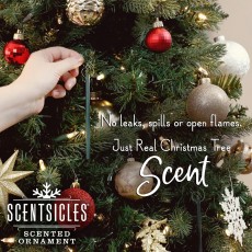 Fir Scentsicles-Christmas Berry Fir Scentsicles-Christmas Berry