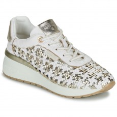 Carmela Detail Trainer