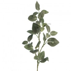 Floralsilk Fittonia Spray