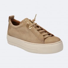 Paul Green Trainer
