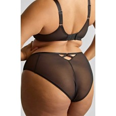 Panache Ella High Leg Brief