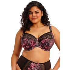 Elomi Morgan Bra
