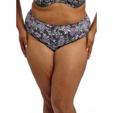 Goddess Kayla Brief