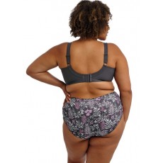 Goddess Kayla Brief