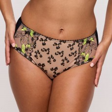 PrimaDonna Manali Brief