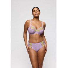 PrimaDinna Ixia Bra