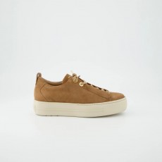 Paul Green Trainer