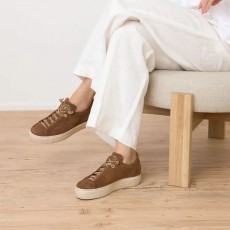 Paul Green Trainer
