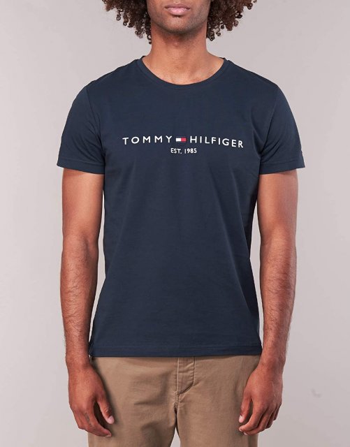 Tommy Hilfiger Core Tommy Logo T-Shirt