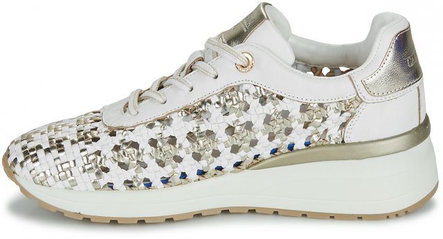 Carmela Detail Trainer