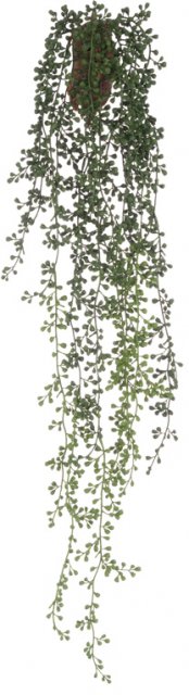 Floralsilk Senecio Hanger