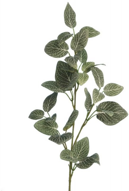 Floralsilk Fittonia Spray