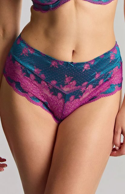 Panache Clara Deep Brief