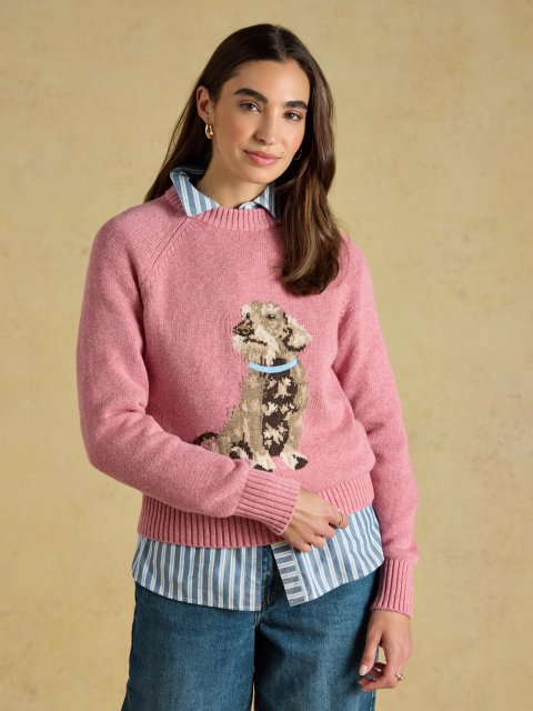 Joules Dachshund Knit