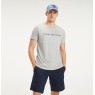 Tommy Hilfiger Core Tommy Logo Tee Cloud Heather