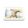 Tuftop Alisons Animals 4x4 Glass Board