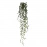 Floralsilk Senecio Hanger