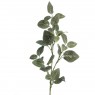 Floralsilk Fittonia Spray