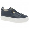 Paul Green Trainer