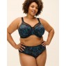 Goddess Kayla Brief