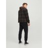 Jack & Jones Gordon Bradley Sweat Pant